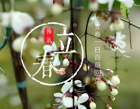 2026年立春不一般！蛇尾马头春+春打六九头，60年一遇的双重吉兆全解析